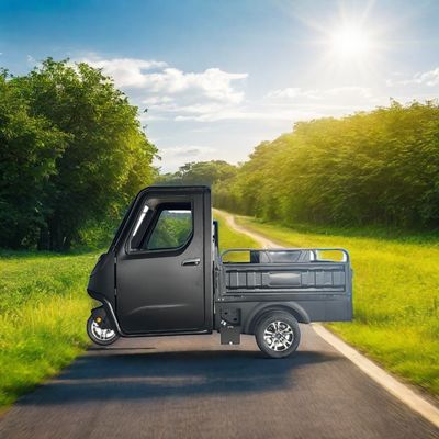 가족용 1000/1200/2000/3000W 전기 삼륜자전거 3륜 전자 자전거 및 Pedicab