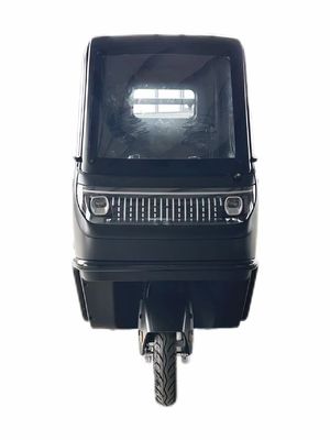 가족용 1000/1200/2000/3000W 전기 삼륜자전거 3륜 전자 자전거 및 Pedicab