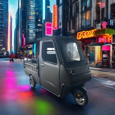 가족용 1000/1200/2000/3000W 전기 삼륜자전거 3륜 전자 자전거 및 Pedicab