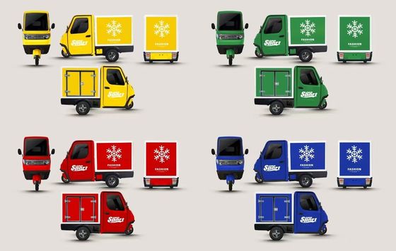 가족용 1000/1200/2000/3000W 전기 삼륜자전거 3륜 전자 자전거 및 Pedicab