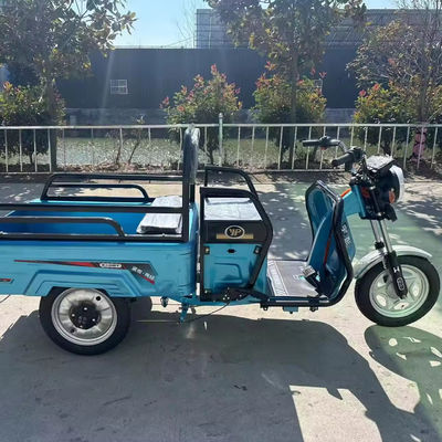 3.75-12 타이어 사이즈 600kg 1000w 3륜 전기 오토바이크로 무거운 화물 운송
