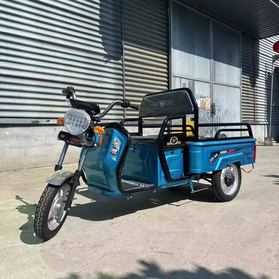 3.75-12 타이어 사이즈 600kg 1000w 3륜 전기 오토바이크로 무거운 화물 운송