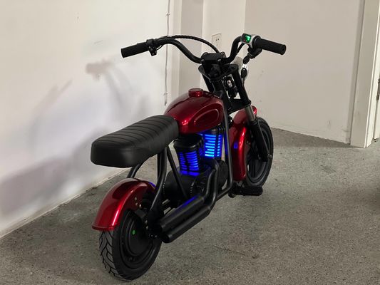 CE 인증 180W 24V 모터 및 컴팩트 차량 차원