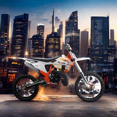 2타크 엔진 체인 드라이브 성인 오토바이 250cc 오프로드 모토크로스 오토바이