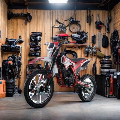 250cc 오프로드 4타크 가솔린 모토크로스 디트바이크 전기 시작 및 디스크 브레이크