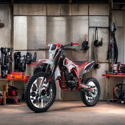 250cc 오프로드 4타크 가솔린 모토크로스 디트바이크 전기 시작 및 디스크 브레이크
