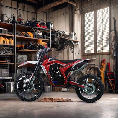 250cc 오프로드 4타크 가솔린 모토크로스 디트바이크 전기 시작 및 디스크 브레이크