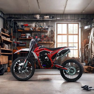 250cc 오프로드 4타크 가솔린 모토크로스 디트바이크 전기 시작 및 디스크 브레이크