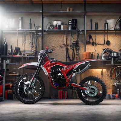 250cc 오프로드 4타크 가솔린 모토크로스 디트바이크 전기 시작 및 디스크 브레이크