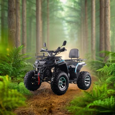 200cc ATV 250cc ATV 성인 ATV 사륜구동 체인 드라이브 및 1000W 전기 당기 시작