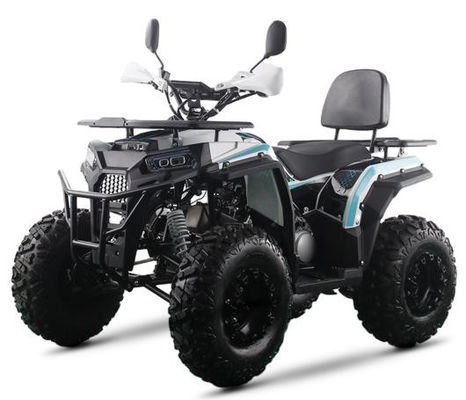 200cc ATV 250cc ATV 성인 ATV 사륜구동 체인 드라이브 및 1000W 전기 당기 시작