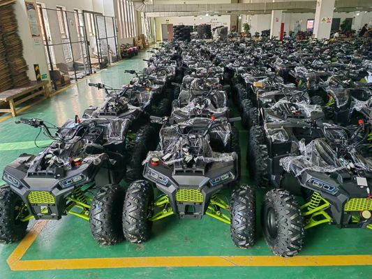 200cc ATV 250cc ATV 성인 ATV 사륜구동 체인 드라이브 및 1000W 전기 당기 시작