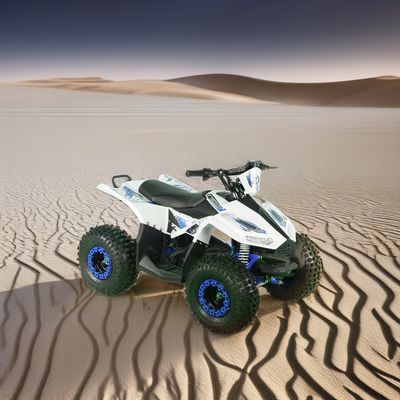 2024 십대 4x4 1000W 48V 1200W 전기 샤프트 드라이브 쿼드 자전거 전기 쿼드 ATV