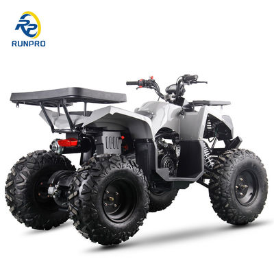 가스 / 디젤 해변 버기 체인 드라이브 4 바퀴 4 스턴트 쿼드 자전거 200cc / 300cc 성인용