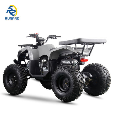 가스 / 디젤 해변 버기 체인 드라이브 4 바퀴 4 스턴트 쿼드 자전거 200cc / 300cc 성인용