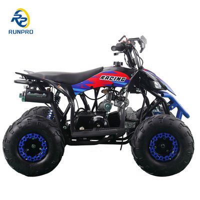 110cc 4타크 가스 ATV 4륜 6인치 타이어 쿼드 자전거 변속기 타입 자동
