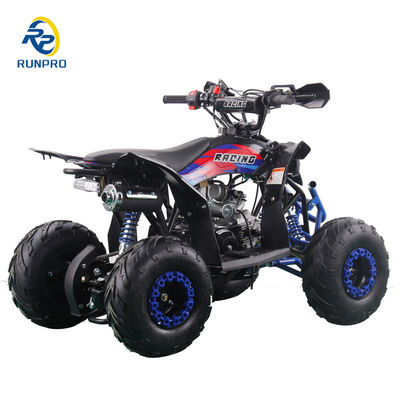 110cc 4타크 가스 ATV 4륜 6인치 타이어 쿼드 자전거 변속기 타입 자동