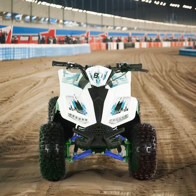 1250x760x800MM 전기 ATV 1000w/1200w/1500w 쿼드 자전거 1000w/1200w/1500w 전기