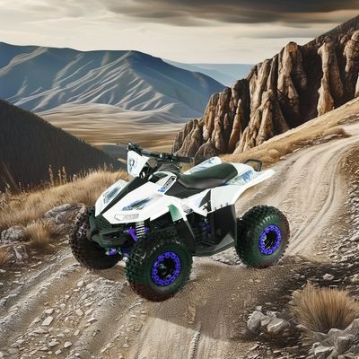 키즈 전기 ATV 쿼드바이크 휠베이스 600-1000mm 및 전체 크기 1250x760x800mm