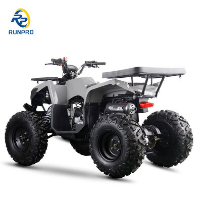 200cc 10인치 스틸 휠 2WD ATV 오프로드 4륜 모터사이클 UTV 농장 모터 쿼드 자전거