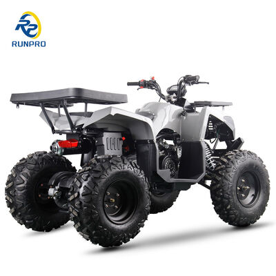 200cc 10인치 스틸 휠 2WD ATV 오프로드 4륜 모터사이클 UTV 농장 모터 쿼드 자전거