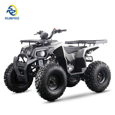 200cc 10인치 스틸 휠 2WD ATV 오프로드 4륜 모터사이클 UTV 농장 모터 쿼드 자전거