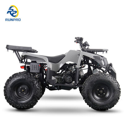 200cc 10인치 스틸 휠 2WD ATV 오프로드 4륜 모터사이클 UTV 농장 모터 쿼드 자전거