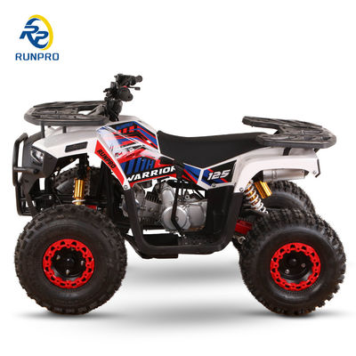 4타크 엔진 타입 125cc 150cc 자동 키즈 ATV 2x4 모든 지형 차량