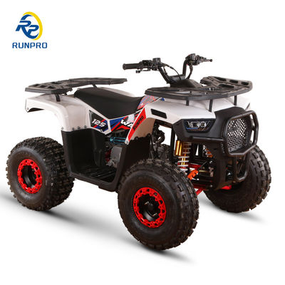 우리의 스피드 125cc 8인치 4트랙 에어컬러 ATV 자전거로 아드레날린을 펌프하십시오.