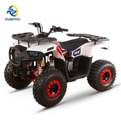 우리의 스피드 125cc 8인치 4트랙 에어컬러 ATV 자전거로 아드레날린을 펌프하십시오.