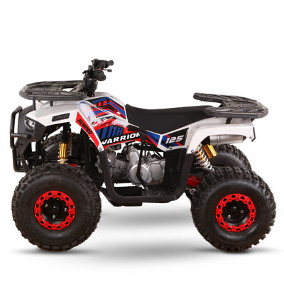 CE 인증 가스 가동 키즈 쿼드 자전거 110cc 125cc ATV 체인 드라이브와 함께 네 바퀴