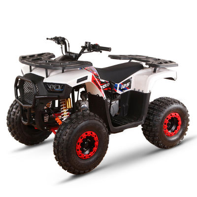 CE 인증 가스 가동 키즈 쿼드 자전거 110cc 125cc ATV 체인 드라이브와 함께 네 바퀴