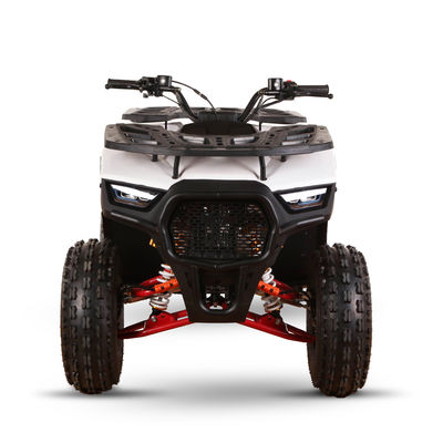 CE 인증 가스 가동 키즈 쿼드 자전거 110cc 125cc ATV 체인 드라이브와 함께 네 바퀴