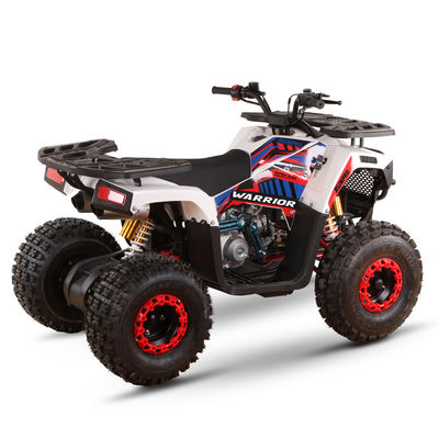 CE 인증 가스 가동 키즈 쿼드 자전거 110cc 125cc ATV 체인 드라이브와 함께 네 바퀴