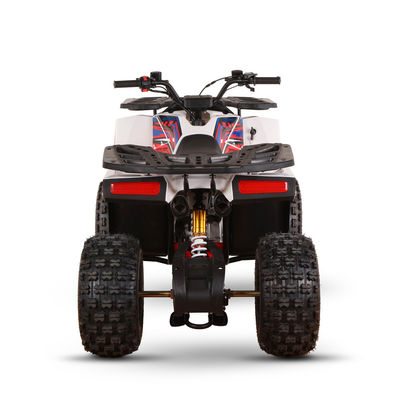 CE 인증 가스 가동 키즈 쿼드 자전거 110cc 125cc ATV 체인 드라이브와 함께 네 바퀴