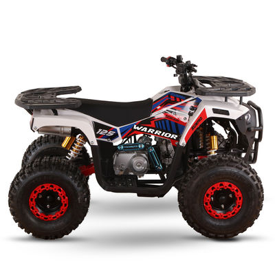 CE 인증 가스 가동 키즈 쿼드 자전거 110cc 125cc ATV 체인 드라이브와 함께 네 바퀴