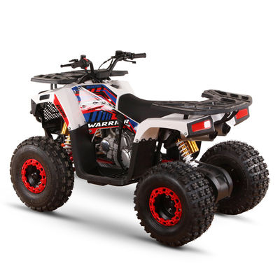 성인용 전지 110cc 125cc 쿼드바이크 최대 부하 150kg 체인 드라이브 변속기