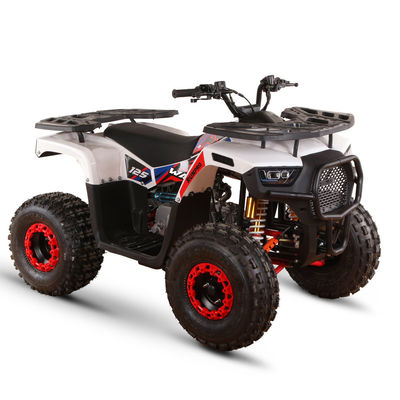 성인용 전지 110cc 125cc 쿼드바이크 최대 부하 150kg 체인 드라이브 변속기