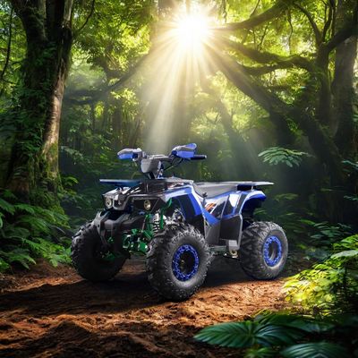 강력한 125cc 가스 연료 ATV 쿼드 2WD 운전 유형과 흥미로운 기능