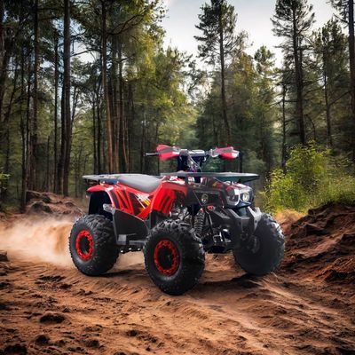 강력한 125cc 가스 연료 ATV 쿼드 2WD 운전 유형과 흥미로운 기능