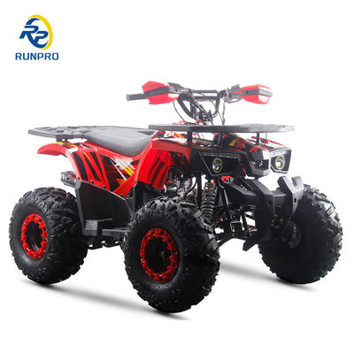 강력한 125cc 가스 연료 ATV 쿼드 2WD 운전 유형과 흥미로운 기능