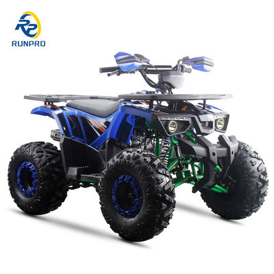 강력한 125cc 가스 연료 ATV 쿼드 2WD 운전 유형과 흥미로운 기능