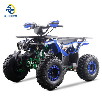 강력한 125cc 가스 연료 ATV 쿼드 2WD 운전 유형과 흥미로운 기능
