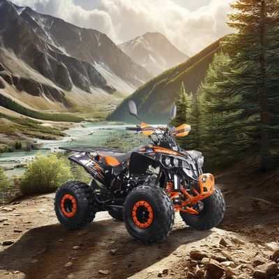 2024 다이렉트 125CC 2WD ATV 자동 변속 셰프트 드라이브 4타크 쿼드 자전거 연료 가스