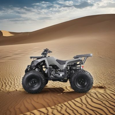성인을 위한 강력한 200cc 가스 ATV 최대 토크 40-60Nm 최고 속도 75km/h
