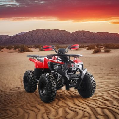 성인을 위한 강력한 200cc 가스 ATV 최대 토크 40-60Nm 최고 속도 75km/h