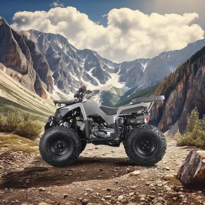 성인을 위한 강력한 200cc 가스 ATV 최대 토크 40-60Nm 최고 속도 75km/h