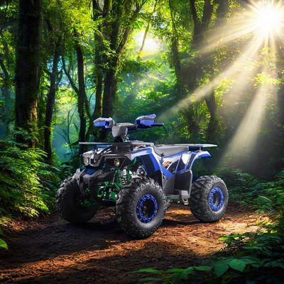 성인 어린이 스틸 2WD 12V 전기 수동 체인 드라이브와 역속 125cc 자동 ATV 쿼드