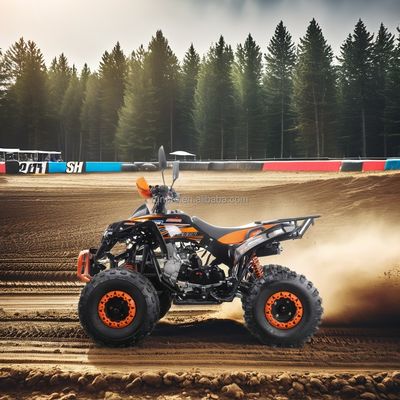 성인용 125cc 전기 시작 쿼드 ATV CE 승인