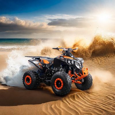 110cc 공기 냉각 가솔린 4륜구동 ATV 쿼드바이크 최대 토크 Nm 20-40Nm